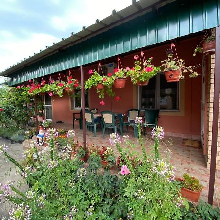 Sud ,,Antal I Olga,, Bed & Breakfast Skorenovac Екстериор снимка