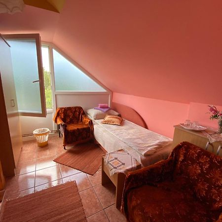 Sud ,,Antal I Olga,, Bed & Breakfast Skorenovac Стая снимка
