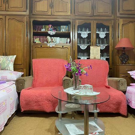 Sud ,,Antal I Olga,, Bed & Breakfast Skorenovac Стая снимка