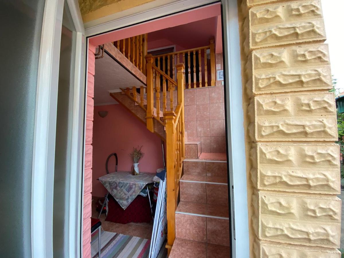 Sud ,,Antal I Olga,, Bed & Breakfast Skorenovac Екстериор снимка