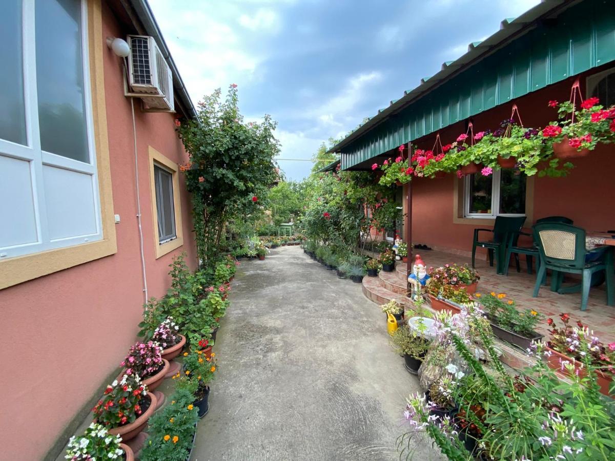 Sud ,,Antal I Olga,, Bed & Breakfast Skorenovac Екстериор снимка