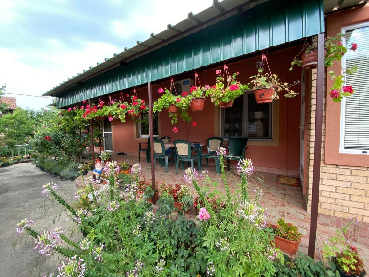 Sud ,,Antal I Olga,, Bed & Breakfast Skorenovac Екстериор снимка