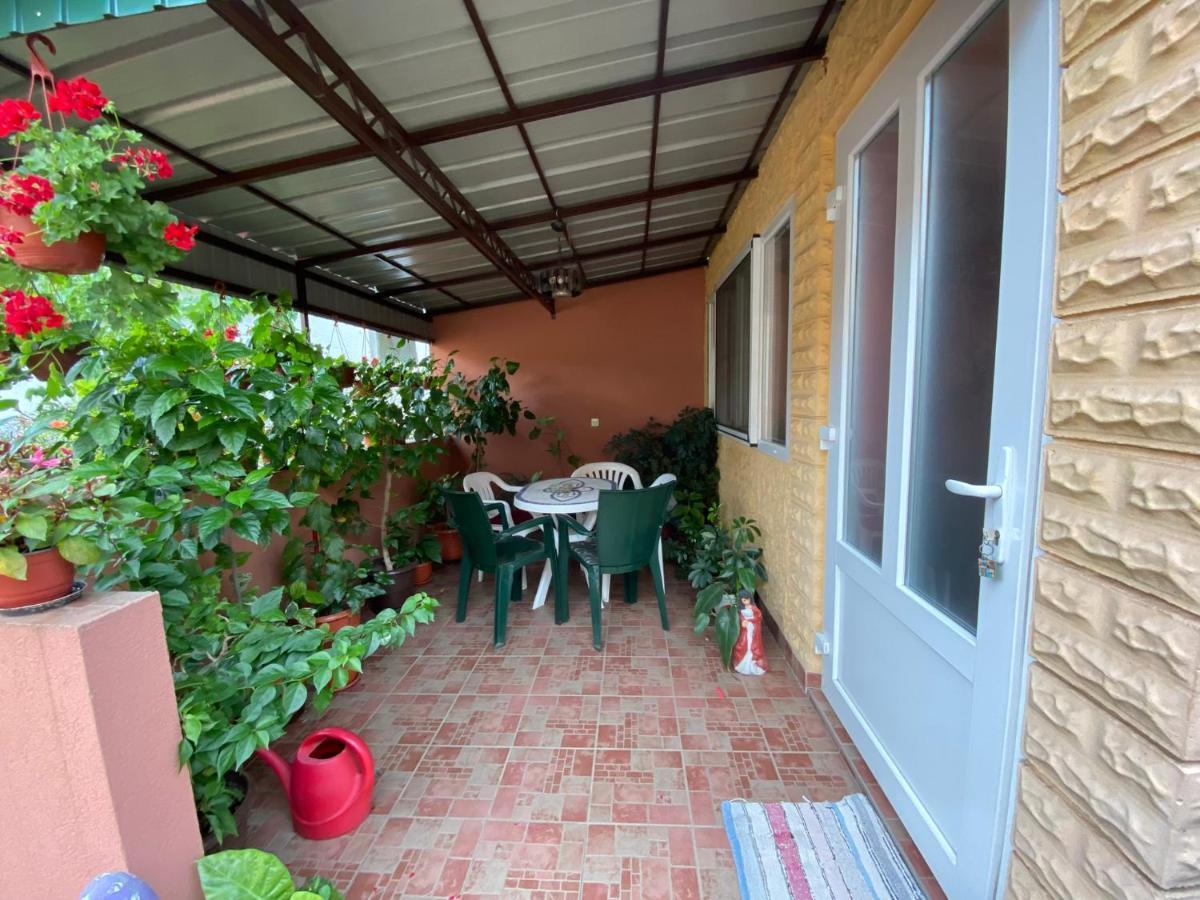 Sud ,,Antal I Olga,, Bed & Breakfast Skorenovac Екстериор снимка