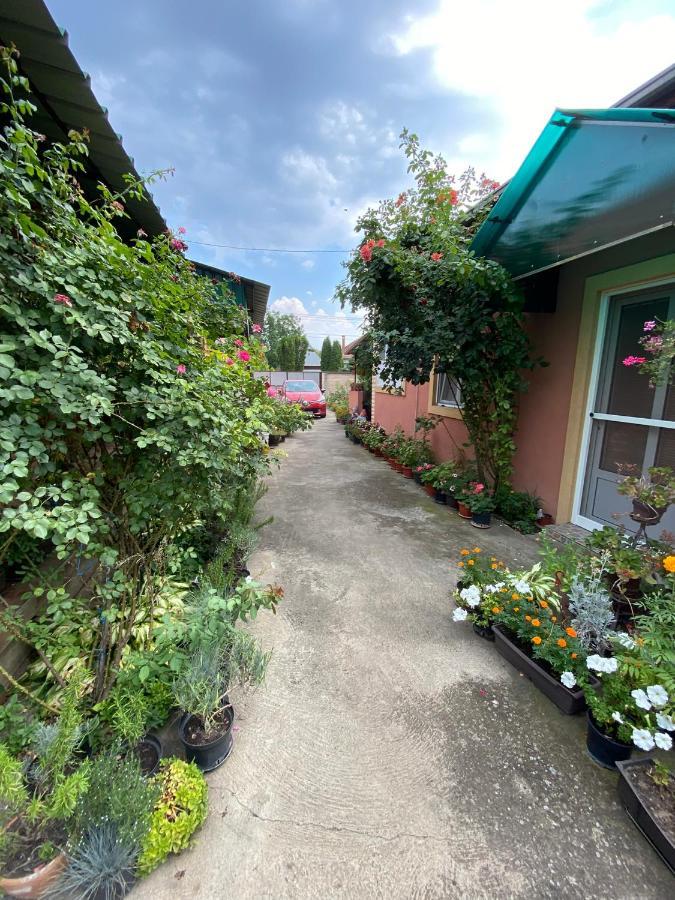 Sud ,,Antal I Olga,, Bed & Breakfast Skorenovac Екстериор снимка