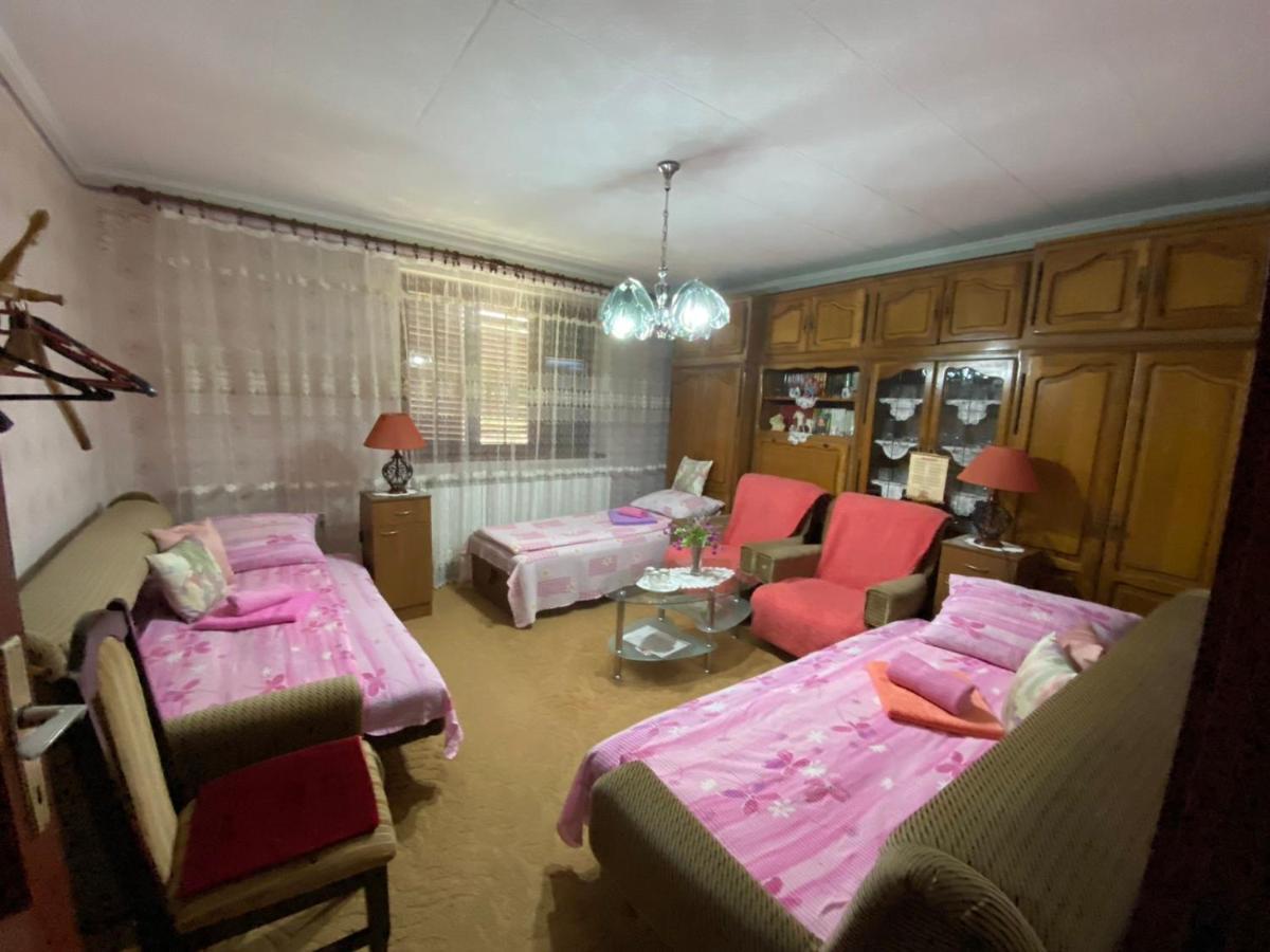 Sud ,,Antal I Olga,, Bed & Breakfast Skorenovac Стая снимка
