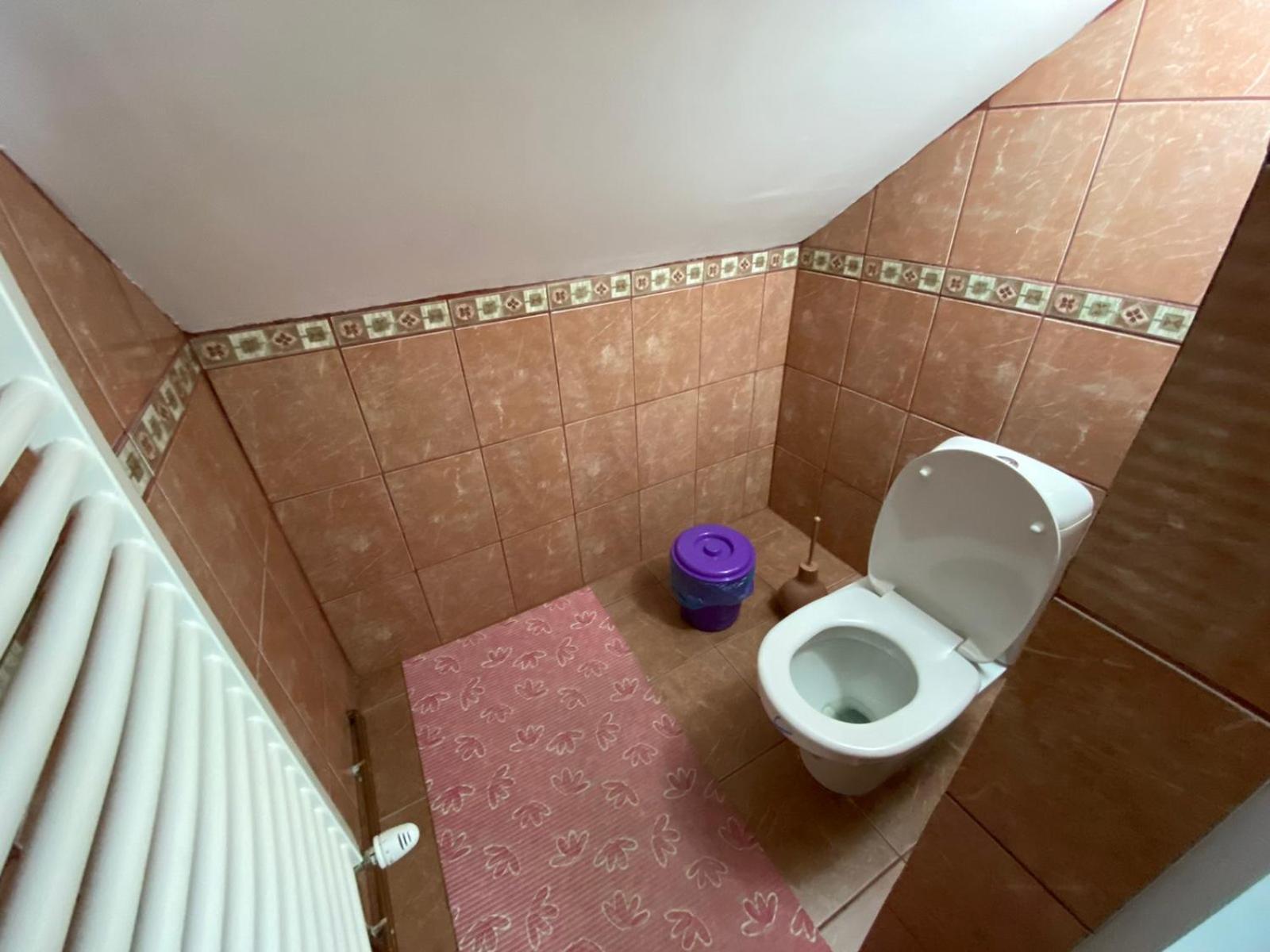 Sud ,,Antal I Olga,, Bed & Breakfast Skorenovac Стая снимка