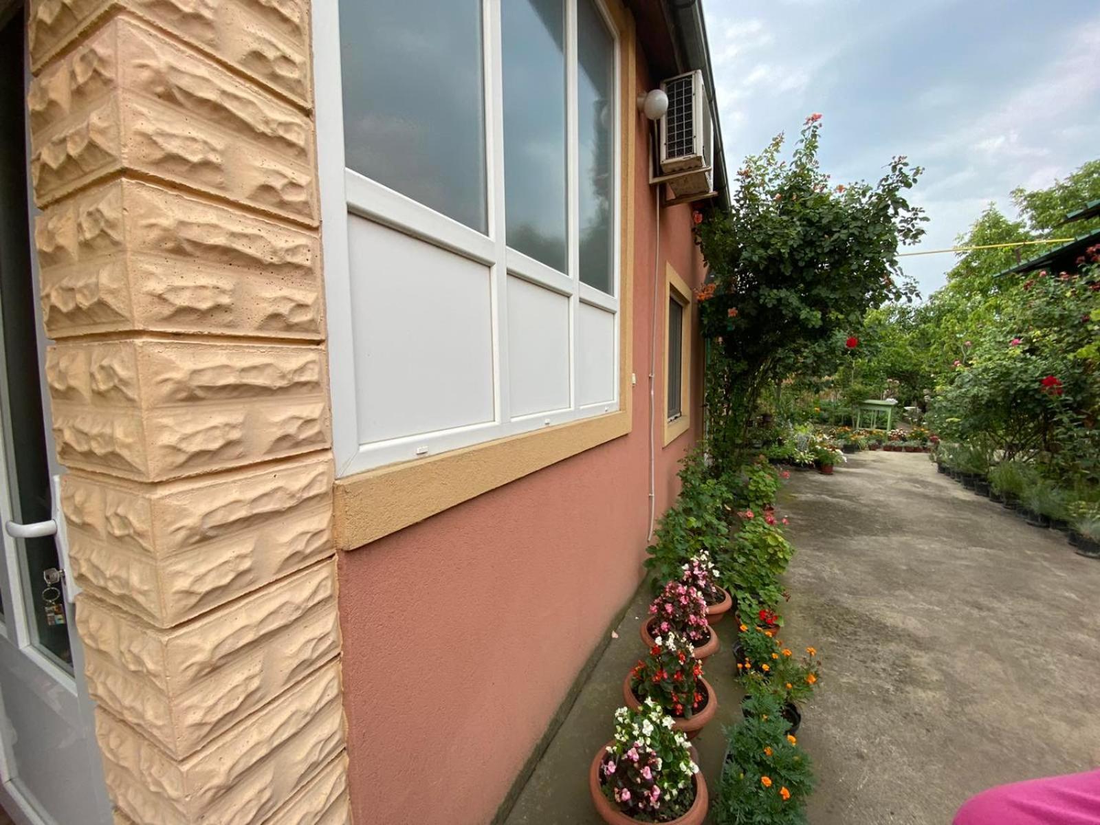Sud ,,Antal I Olga,, Bed & Breakfast Skorenovac Стая снимка